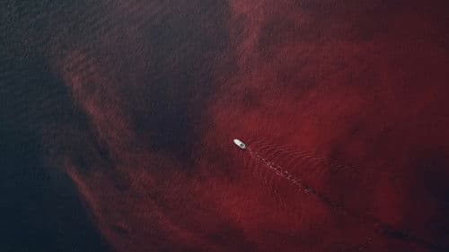 Nature : pour une réconciliation Bild 3