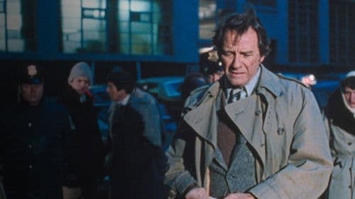 Stone Cold Dead Bild 4