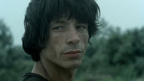 Faleze de nisip Bild 8