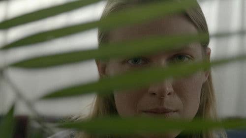 Nie zgubiliśmy drogi Bild 2