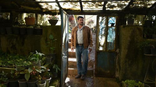 قصر شیرین Bild 5