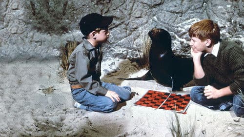 Sammy, the Way-Out Seal Bild 2