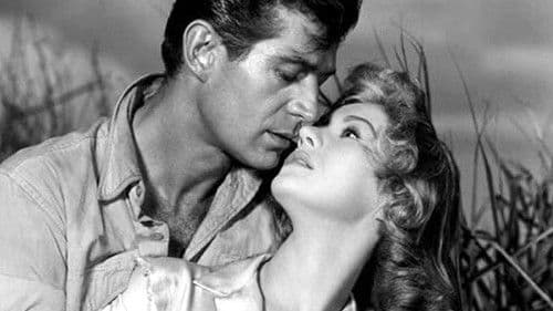 Blutroter Kongo Bild 7