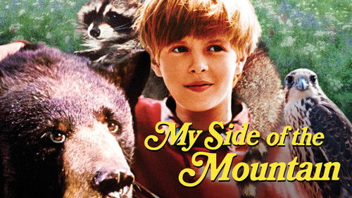 Ein Jahr als Robinson Bild 2