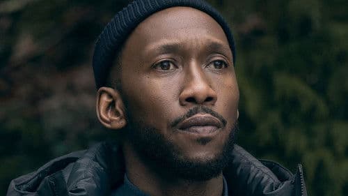 Schwanengesang Bild 7