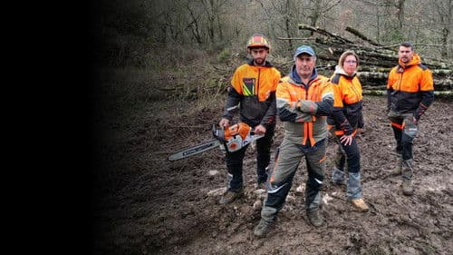 Undercut: l'oro di legno Bild 3