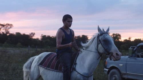 Songs My Brothers Taught Me Bild 7