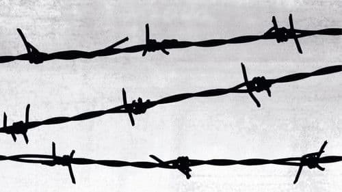 Nacht und Nebel Bild 2