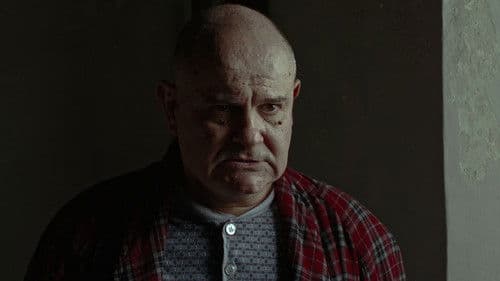 Il Coleottero Bild 1