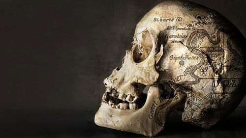 Search for the Lost Giants Bild 4