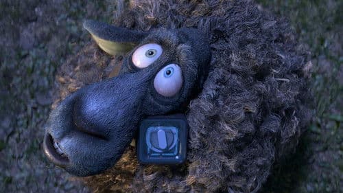 Cosmos Laundromat Bild 4