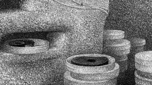 Chloé Van Herzeele Bild 3