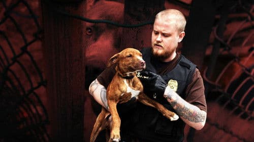 Philly Undercover Bild 1