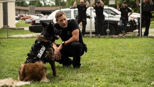 Muzzle - K-9 Narcotics Unit Bild 3