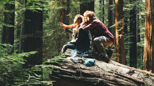 Swiss Army Man Bild 8