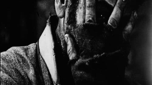 Instructions for a Light and Sound Machine Bild 1