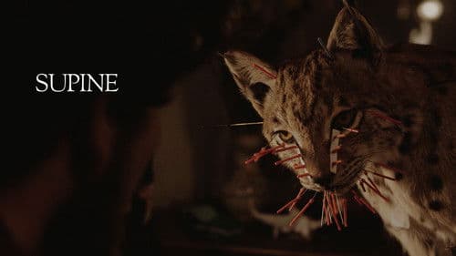 Supine Bild 1