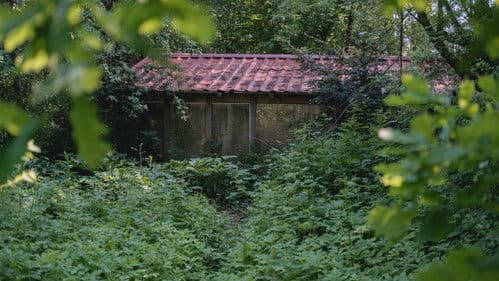 Behind The Garden Gate Bild 1