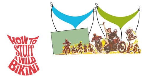 How to Stuff a Wild Bikini Bild 7
