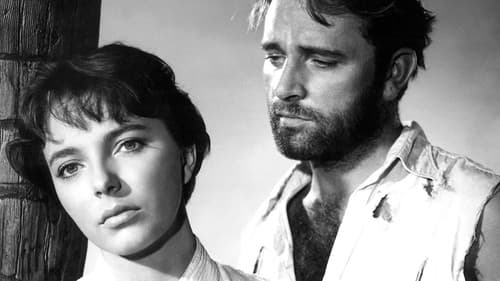 Treibgut der Leidenschaft Bild 4