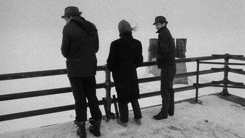 Stranger Than Paradise Bild 5