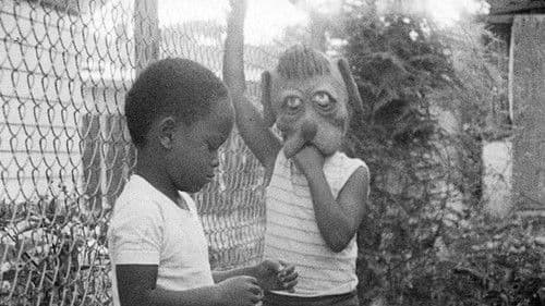 Schafe töten Bild 5