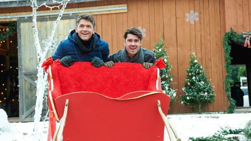 Im Norden strahlt der Weihnachtsstern Bild 5