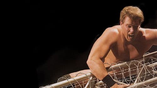 WWE No Way Out 2005 Bild 1