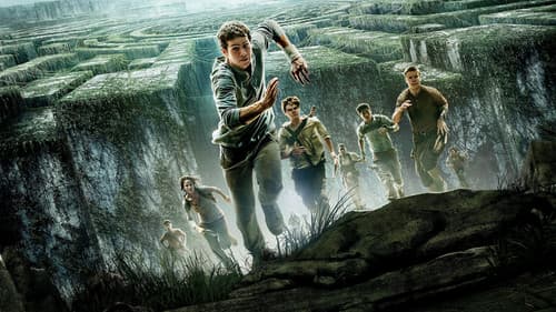 Maze Runner - Die Auserwählten im Labyrinth Bild 1