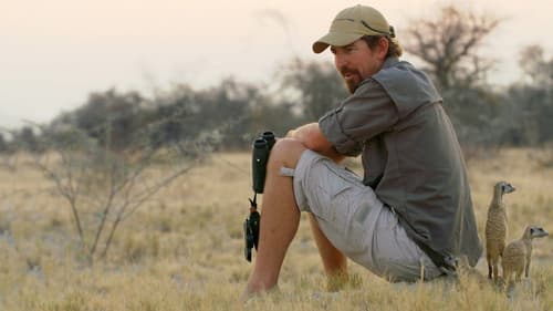 Safari Brothers Bild 1