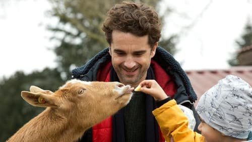 Das Leben ist kein Kindergarten – Umzugschaos Bild 1