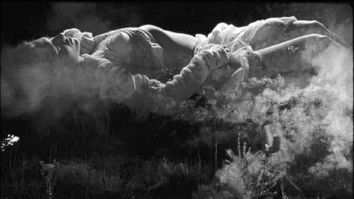 Boro in the Box Bild 1