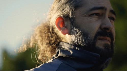 As Portas da Perceção Bild 6