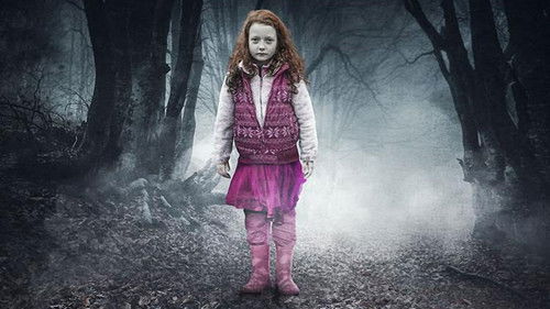 Dunkel, fast Nacht Bild 3