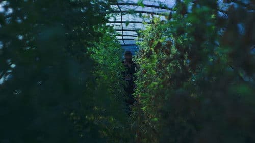 مين الغول؟ Bild 3