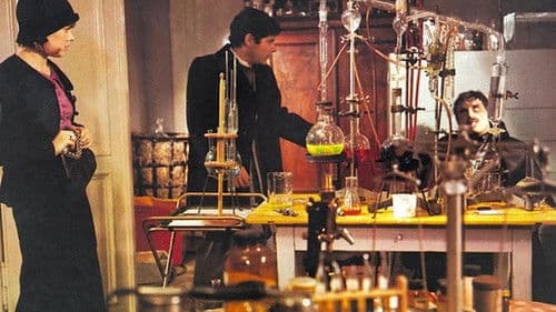 Der Rattengott Bild 3