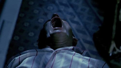 Im Glaskäfig Bild 7