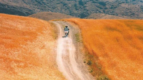 Der Wind wird uns tragen Bild 4