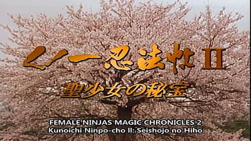 くノ一忍法帖II 聖少女の秘宝 Bild 1