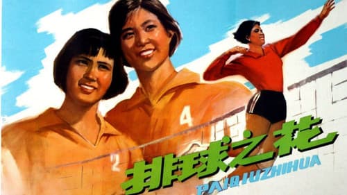 The “Volleyball Flower” Bild 1