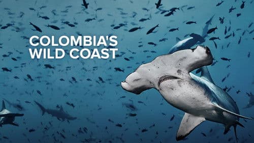 Colombia's Wild Coast Bild 1