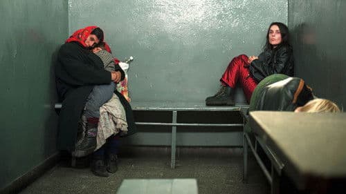 Nocne graffiti Bild 8