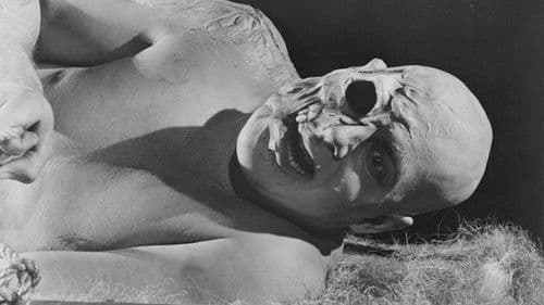 Gigant des Grauens Bild 4