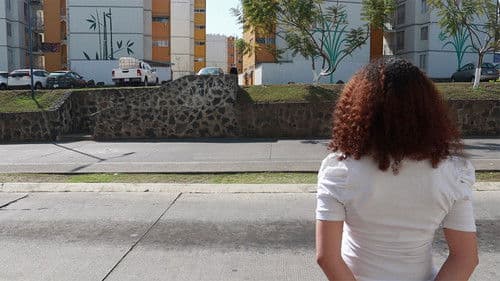 Ojos al Sol y a la Sombra Bild 3