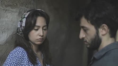 Bakı küləyi Bild 2