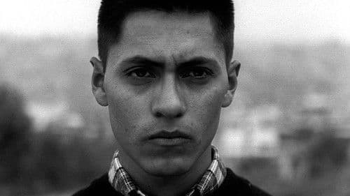 Liebessehnsucht Bild 2