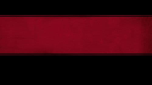 El Camino: Ein „Breaking Bad“-Film Bild 7