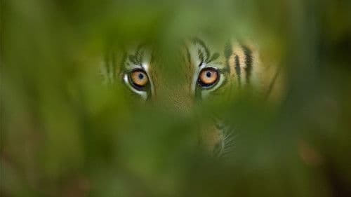 Deadly Instincts Bild 4