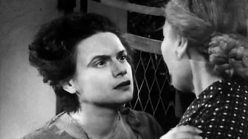 Θανασάκης ο Πολιτευόμενος Bild 4