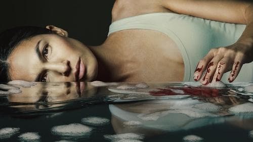 The Cleaning Lady Bild 1